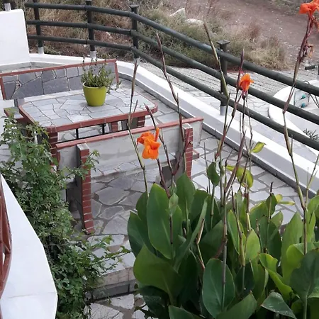 Oliva * アストリス