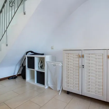 Oliva * アストリス