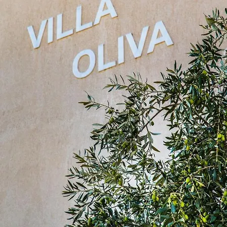 Сasa de vacaciones Oliva